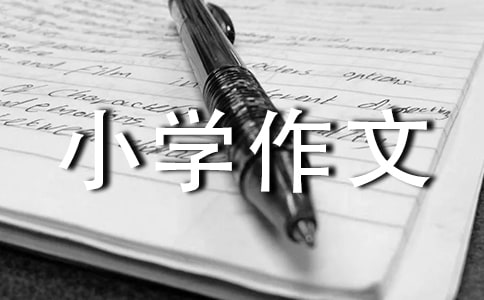 䣩ɰСѧ