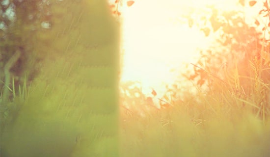 Ψİ̾ɾܻ